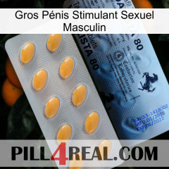 Gros Pénis Stimulant Sexuel Masculin 44